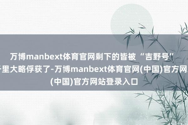 万博manbext体育官网剩下的皆被 “吉野号” 它们给击千里大略俘获了-万博manbext体育官网(中国)官方网站登录入口