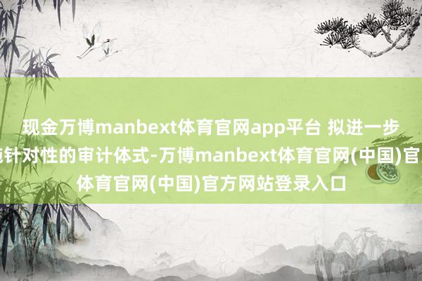 现金万博manbext体育官网app平台 拟进一步收罗贵府并实施针对性的审计体式-万博manbext体育官网(中国)官方网站登录入口