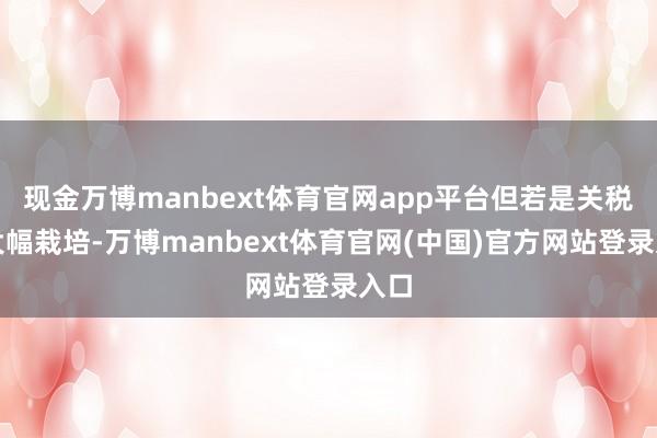 现金万博manbext体育官网app平台但若是关税被大幅栽培-万博manbext体育官网(中国)官方网站登录入口