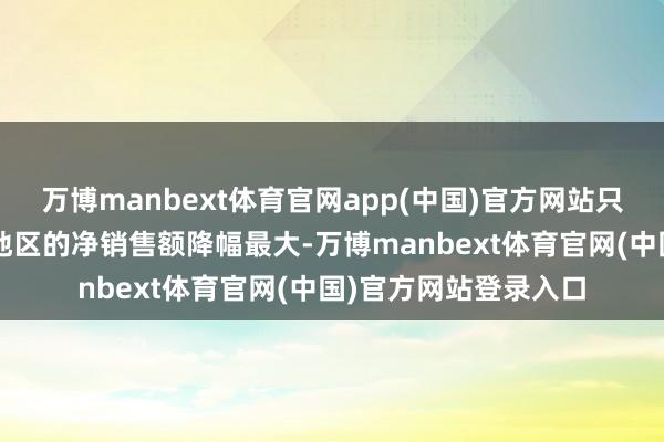 万博manbext体育官网app(中国)官方网站只不外在亚洲/太平洋地区的净销售额降幅最大-万博manbext体育官网(中国)官方网站登录入口