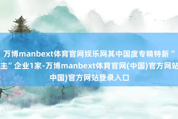 万博manbext体育官网娱乐网其中国度专精特新“小巨东谈主”企业1家-万博manbext体育官网(中国)官方网站登录入口