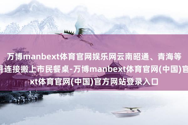 万博manbext体育官网娱乐网云南昭通、青海等地的农居品在5月连接搬上市民餐桌-万博manbext体育官网(中国)官方网站登录入口