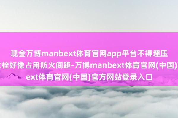现金万博manbext体育官网app平台不得埋压、圈占、禁绝消火栓好像占用防火间距-万博manbext体育官网(中国)官方网站登录入口