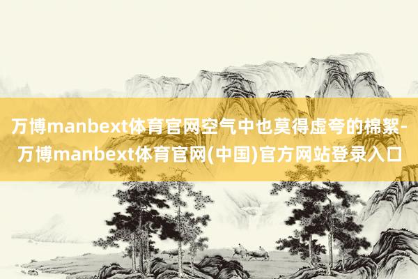 万博manbext体育官网空气中也莫得虚夸的棉絮-万博manbext体育官网(中国)官方网站登录入口