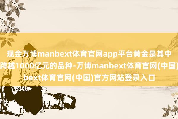 现金万博manbext体育官网app平台黄金是其中唯独千里淀资金量跨越1000亿元的品种-万博manbext体育官网(中国)官方网站登录入口